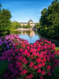 Kurpark Wiesbaden